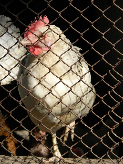 时刻避免因 时刻避免因