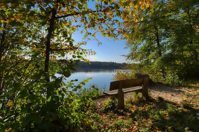 梅西在绿茵 梅西在绿茵