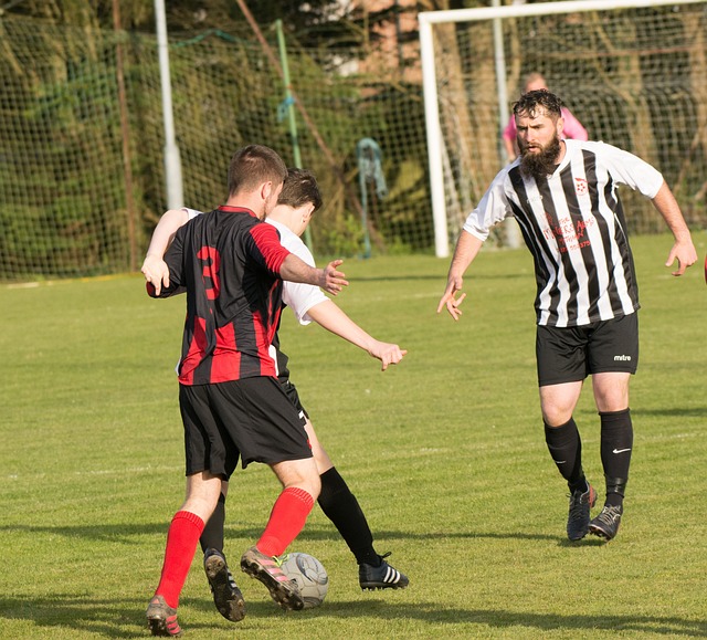 織的交響樂 織的交響樂