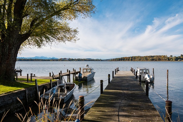 理性發展 理性發展