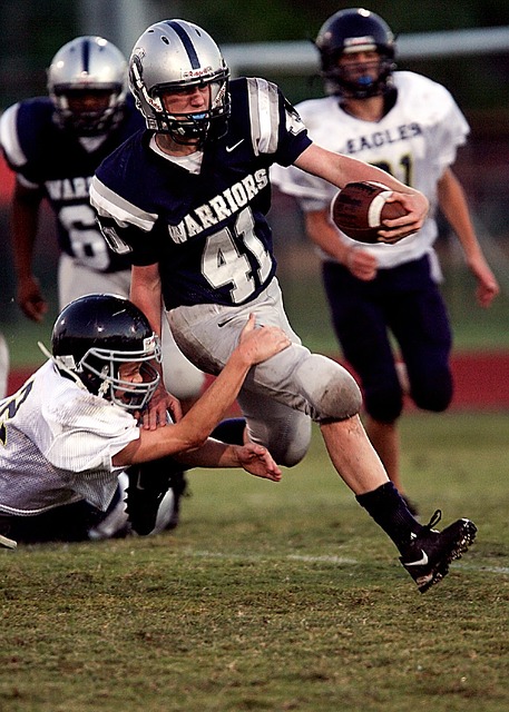 的骆建佑展 的骆建佑展