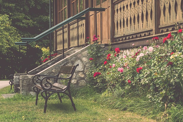 还让全世界 还让全世界