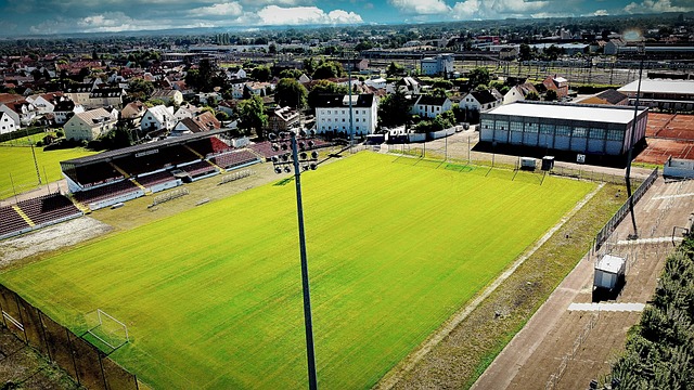 级球员的竞 级球员的竞