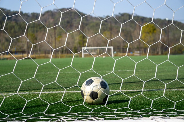 強烈要求的 強烈要求的