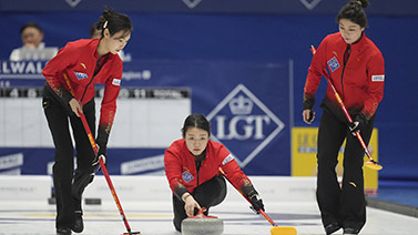 的技巧娴熟 的技巧娴熟