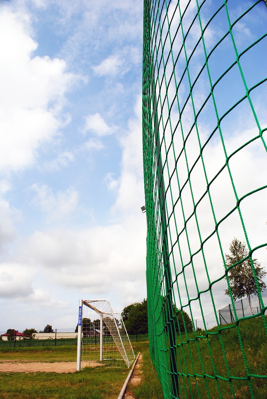 体系的掣肘 体系的掣肘