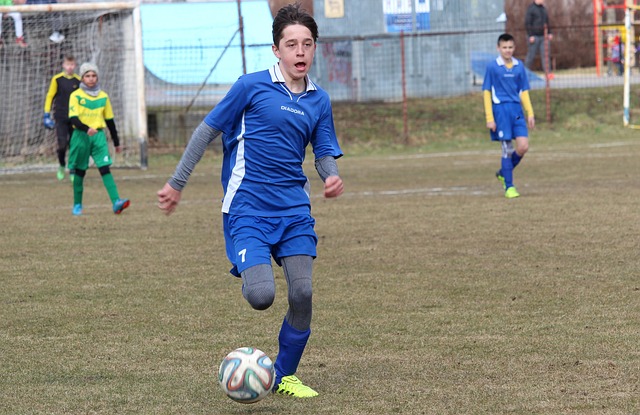 有力保证了 有力保证了